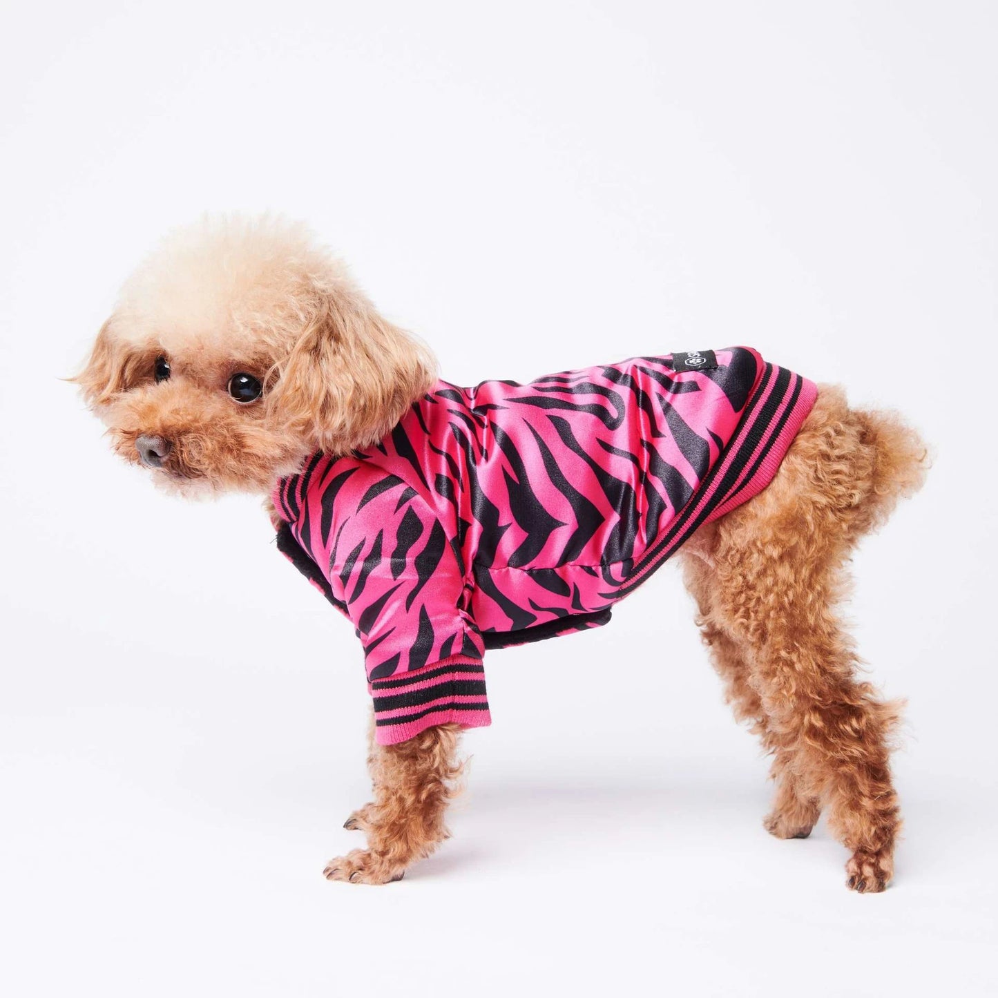 Wild Style Dog Jacket