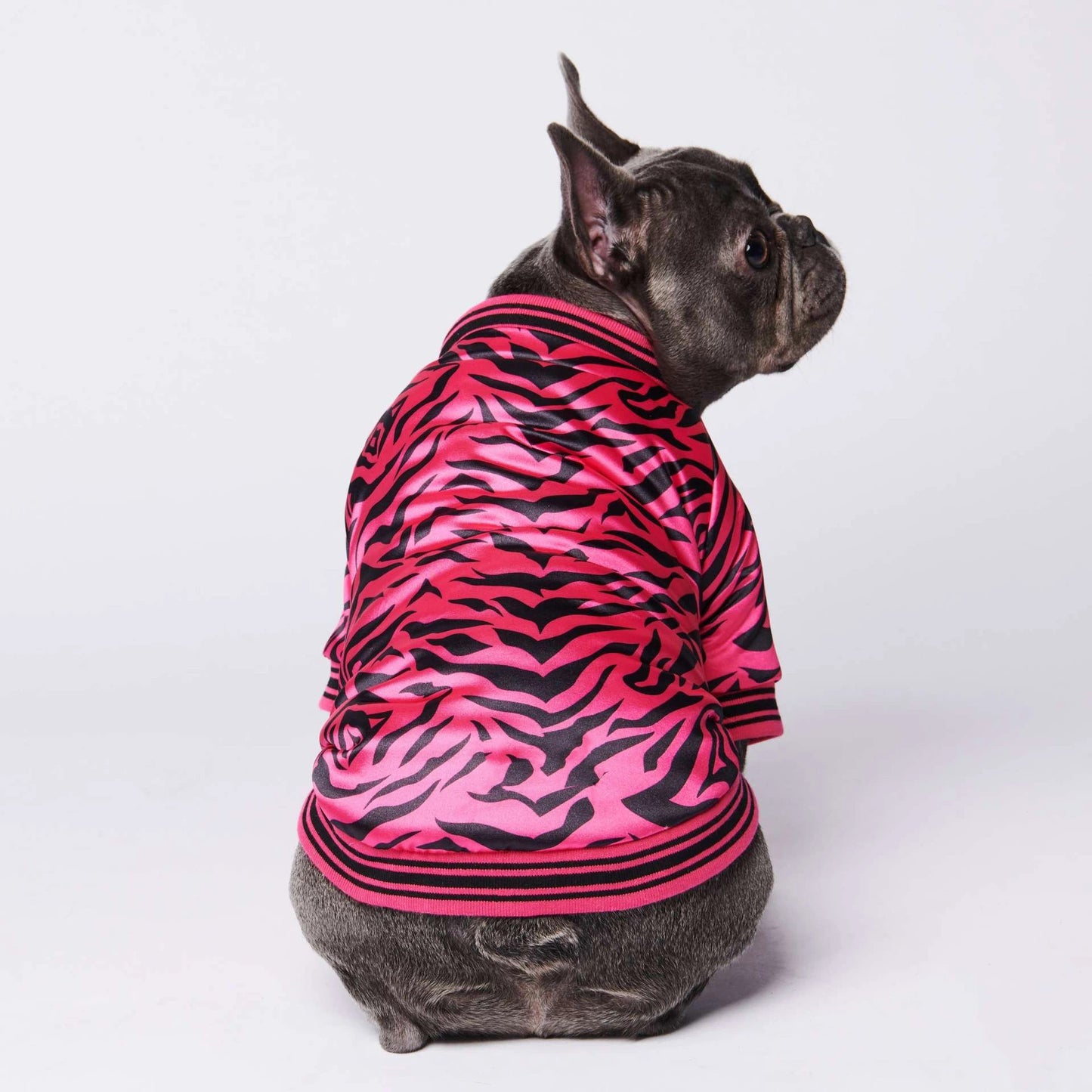 Wild Style Dog Jacket