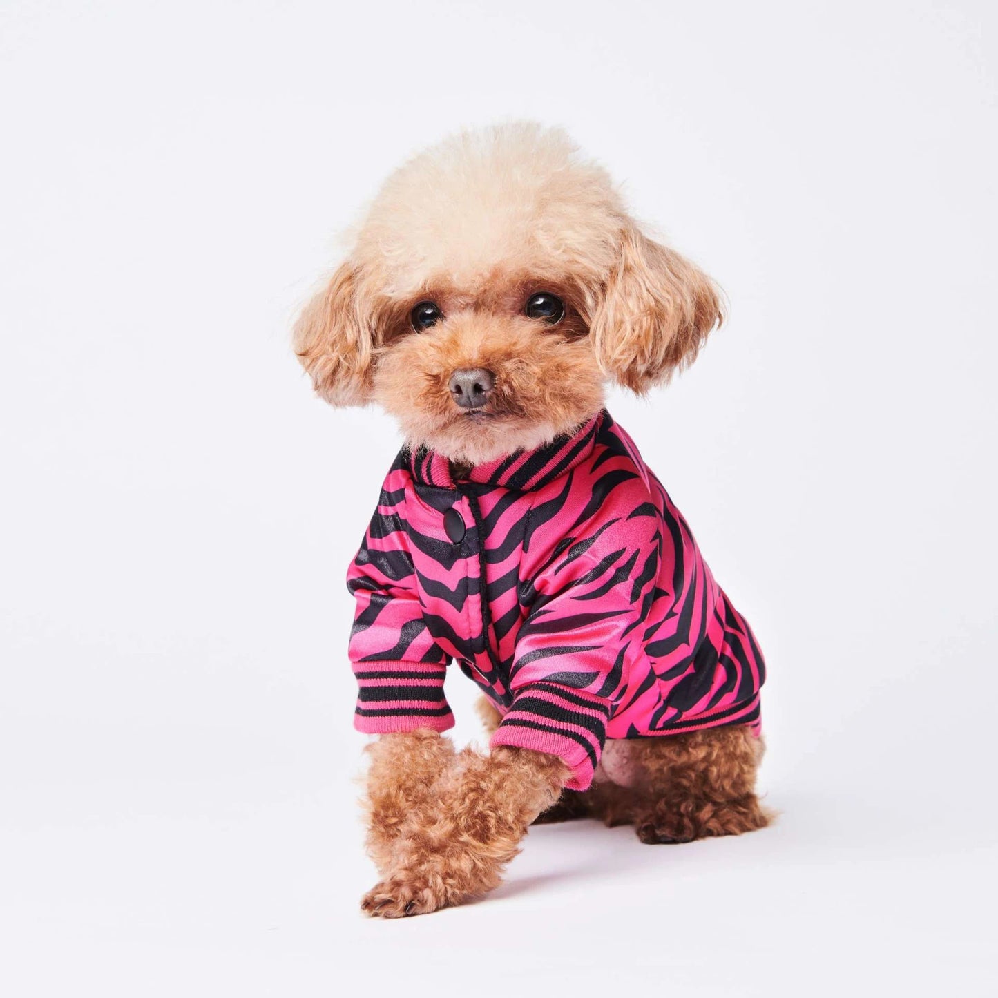 Wild Style Dog Jacket