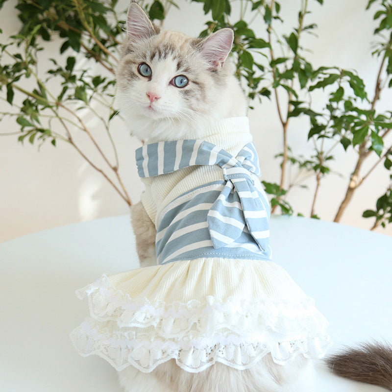 Sassy Cat Couple Wear