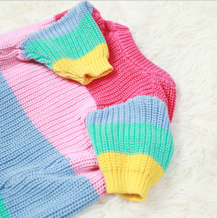 Rainbow Pure Wool Pooch Sweater