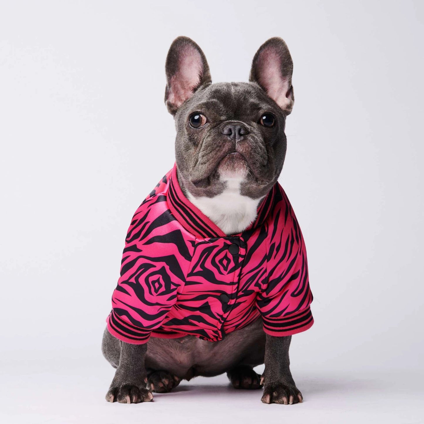 Wild Style Dog Jacket