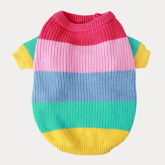 Rainbow Pure Wool Pooch Sweater